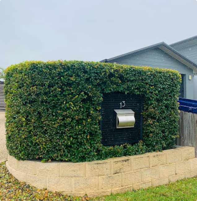  Garden & Property Maintenance - mailbox with vine plants at CLM Group Landscaping & Maintenance Services