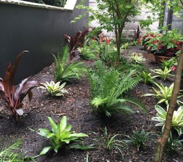 Residential Landscape Plant Bed at CLM Group Landscaping & Maintenance Services
