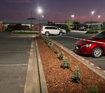Commercial Garden landscaping - Parking Lot Island - Turfing at CLM Group Landscaping & Maintenance Services